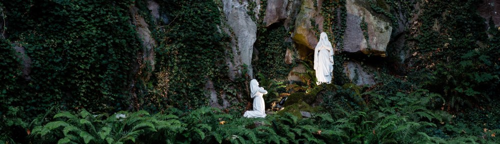 Lourdes Grotto-Banner--grant-whitty-6uCJVAHysg0-unsplash.jpg